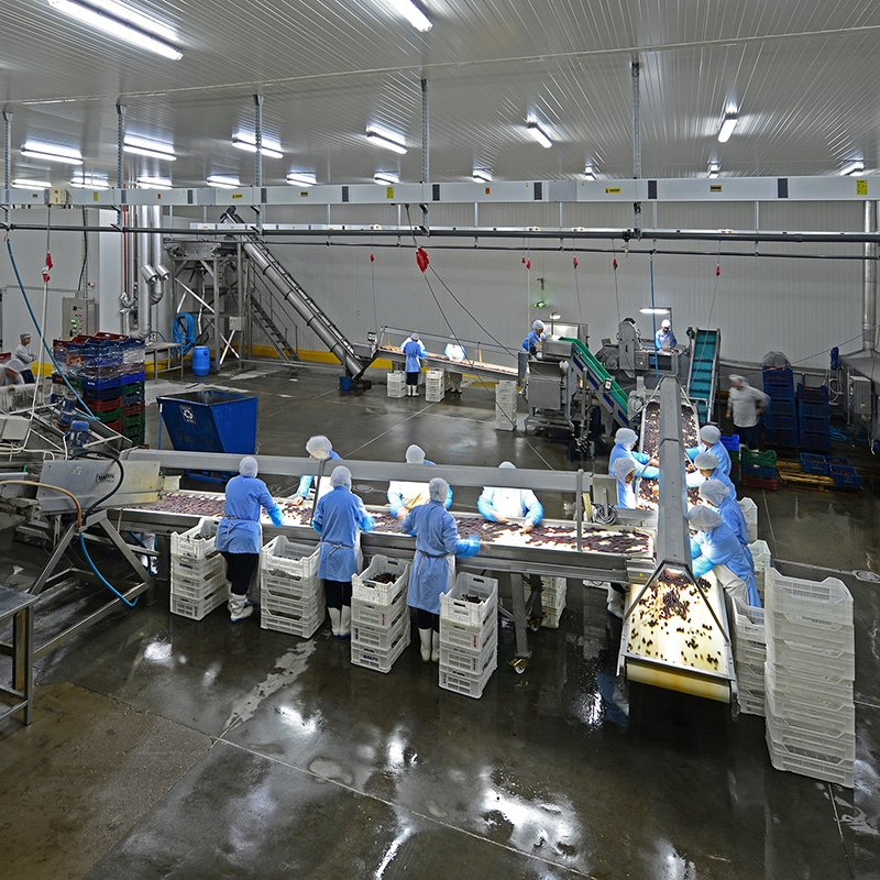 Mevsim Gıda Salihli